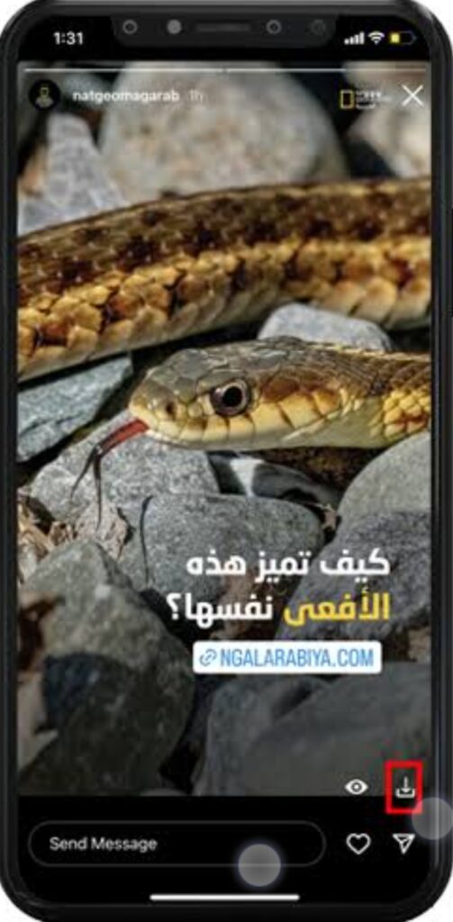 تنزيل الانستا الذهبي للايفون Instagram Gold.287.0.ios.2026 آخر إصدار 6