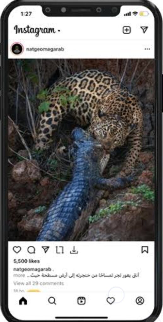 تنزيل الانستا الذهبي للايفون Instagram Gold.287.0.ios.2026 آخر إصدار 5