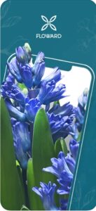 تحميل تطبيق فلاورد للآيفون Floward.6.32.0.ios.2026 آخر إصدار 6