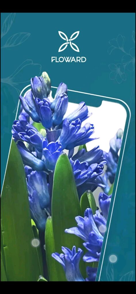 تحميل تطبيق فلاورد للاندرويد Floward.6.0.7.Apk.2026 آخر إصدار 6