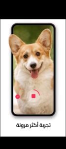 تحميل تيك توك لايت للايفون TikTok Lite. 31.3.3.IOS.2026 اخر اصدار 2