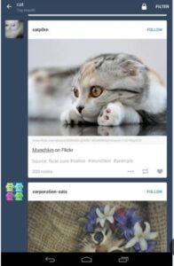 تحميل تمبلر عربي للاندرويد Tumblr.24.4.0.00.APK.2026 اخر اصدار 4