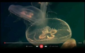 تحميل ibo player مهكر 2.7.2026.APK ايبو بلاير اخر اصدار 3