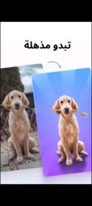 تحميل photoroom مهكر 4.8.6.2026.APK فوتو روم اخر اصدار 4