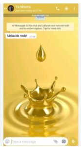 تحميل تطبيق واتساب الذهبي للايفون whats app gold.IOS.2026 اخر اصدار 7