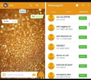 تحميل تطبيق واتساب الذهبي للايفون whats app gold.IOS.2026 اخر اصدار 6